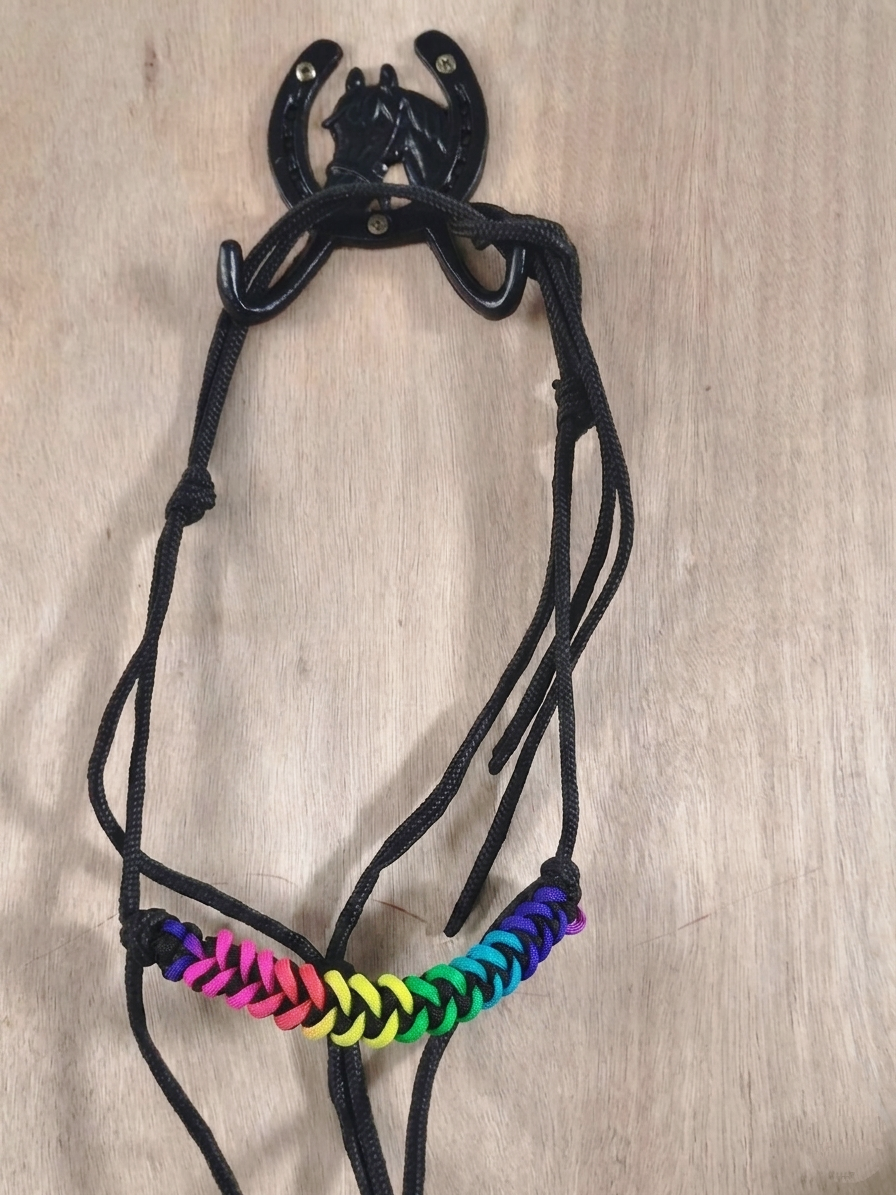 Regenbogen-Seilhalfter