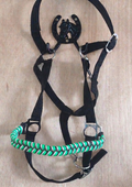 Northern Lights Flat Halter