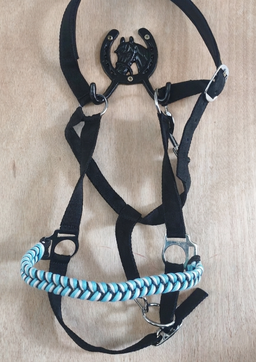 Licol plat Étoile Polaire